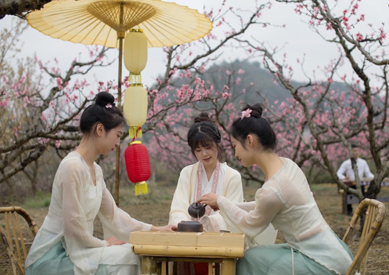 4 春日品茗