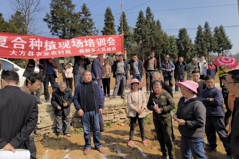 3月14日，农技人员在贵州省大方县鼎新乡作大豆玉米带状复合种植培训。（肖远莉 摄）.jpg