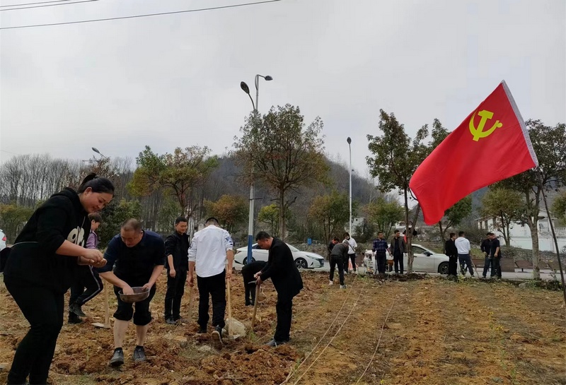 3月15日，贵州省大方县黄泥塘镇党员领导干部在大豆玉米带状复合种植现场动手示范。（刘兰 摄）.jpg