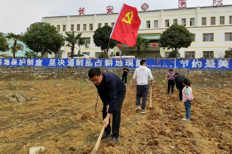 3月15日，贵州省黄泥塘塘领导党员干部在大豆玉米带状复合种植现场示范。（刘兰 摄）.jpg