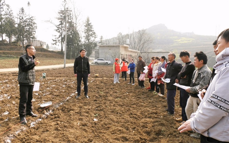 3月16日，大方县农技专家在东关乡罗寨社区给群众培训玉米大豆种植技术。（司玉坤 摄）.jpg