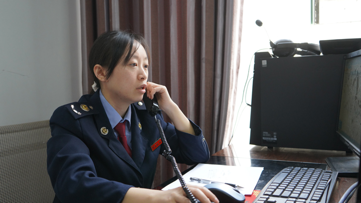 为纳税人服务。