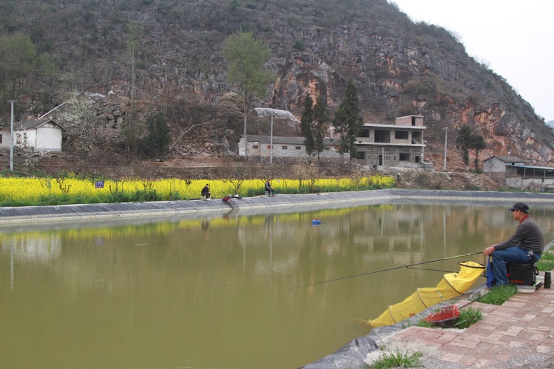 3月16日，游客在贵州省大方县马场镇溪水人家风景如画的池塘边垂钓。（郑春华 摄）.jpg