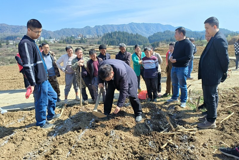 3月21日，大方县八堡乡组织海龙村大豆玉米复合种植培训农技人员示范。漆举才摄