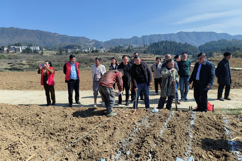 3月21日，大方县八堡乡组织海龙村大豆玉米复合种植培训现场。漆举才摄