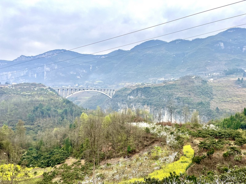 5 修文縣六桶鎮海馬孔村春景 圖為海馬孔大橋.jpg