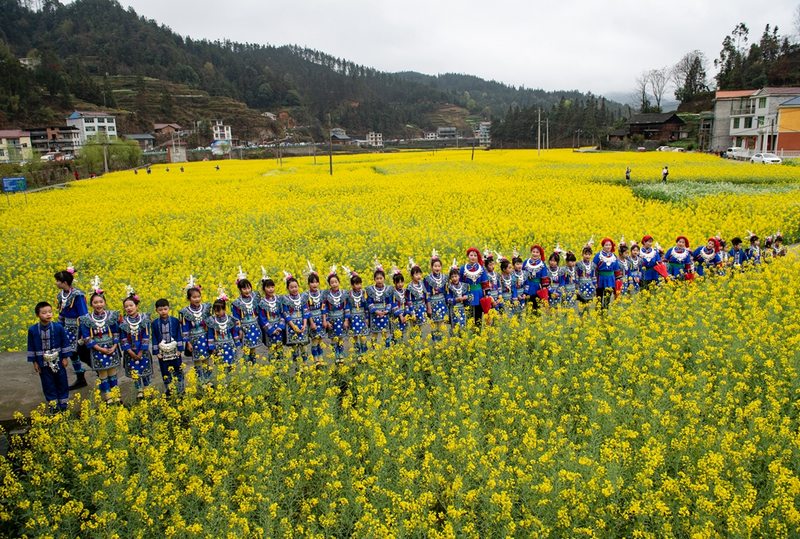 侗族民歌手在天柱注溪乡注溪村油菜基地唱侗歌。