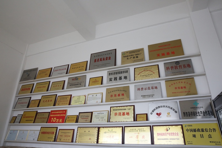 企业荣誉墙。