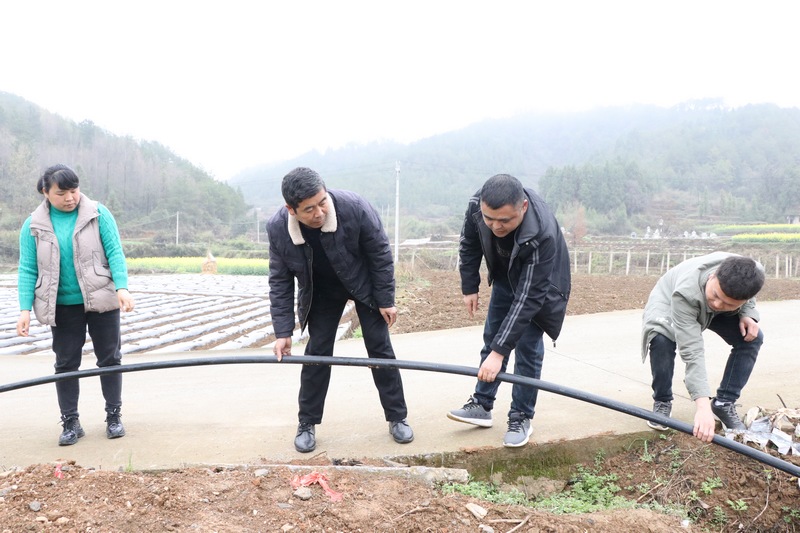 省际人大代表工作人员和长沖垅村村干部查看管道。
