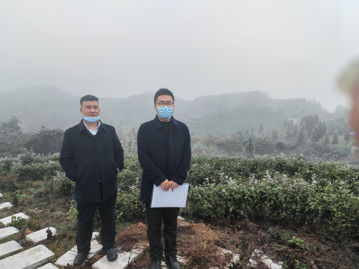 工行贵州毕节分行工作人员到大方县茶叶种植地进行调研。