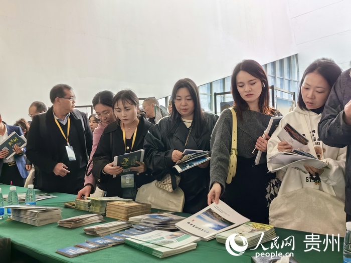 與會嘉賓正在了解貴州民宿項目。人民網 李永馨攝
