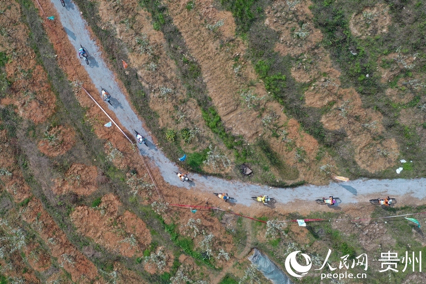 航拍参赛选手穿过梨园小道。人民网 顾兰云摄