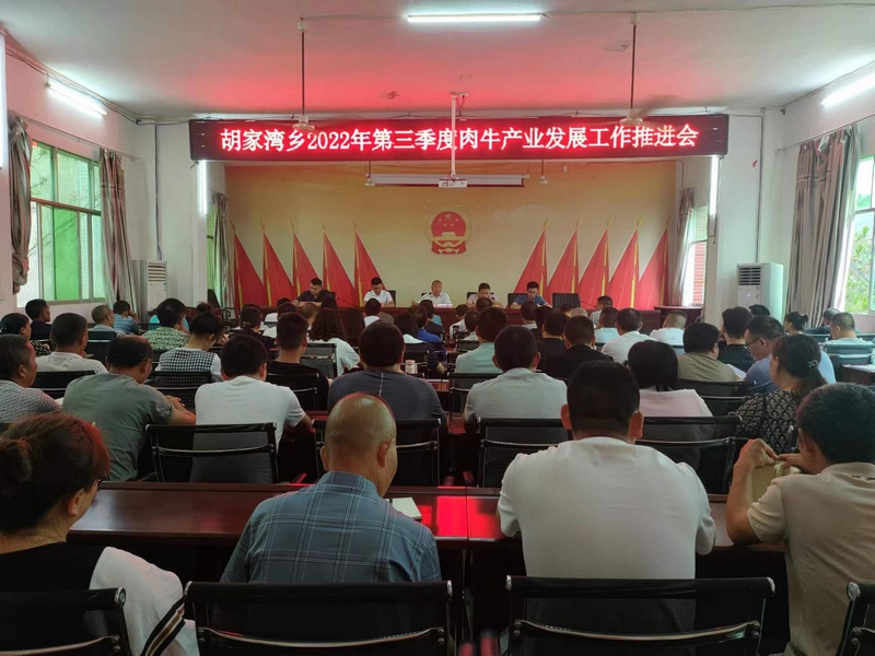 工作推进会（胡家湾乡 供图）.jpg