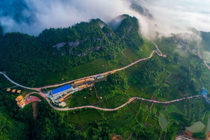雲貴山春景。湄潭縣茶產業發展中心提供