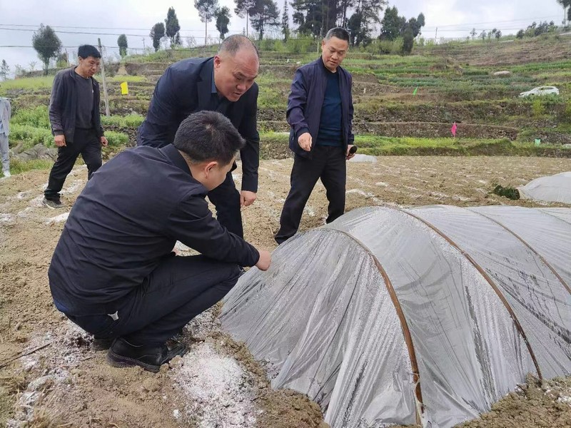 村党支部书记担任负责人，不断盘活村集体闲置资源，因地制宜发展农业产业，为春耕备耕工作注入新活力.jpg