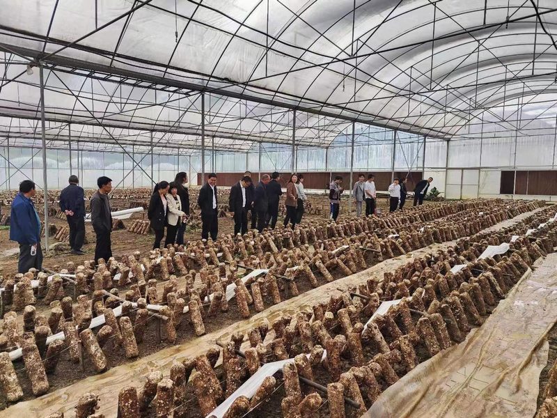 第一时间吹响春耕备耕的冲锋号.jpg