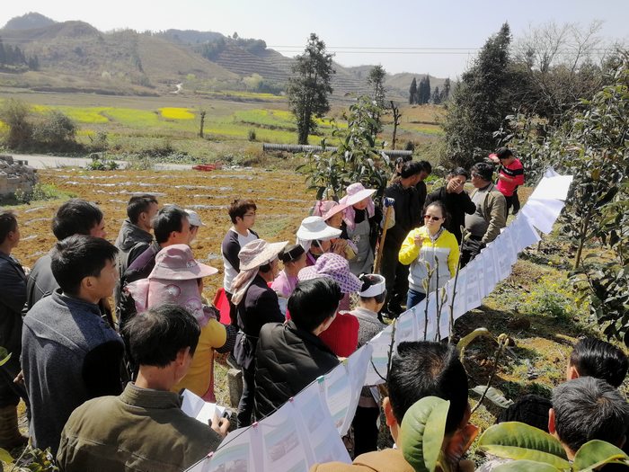 2018年3月9日,安顺市多彩园林苗圃场,黔中地区的乡土花卉栽植技术现场培训。