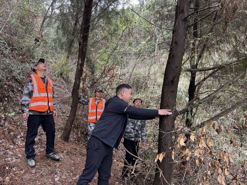 高质量推进河长制林长制 让生态美景常驻万山。