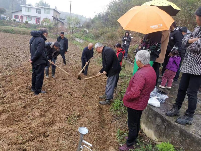 图为：技术人员现场指导整地的深度、时期和方法
