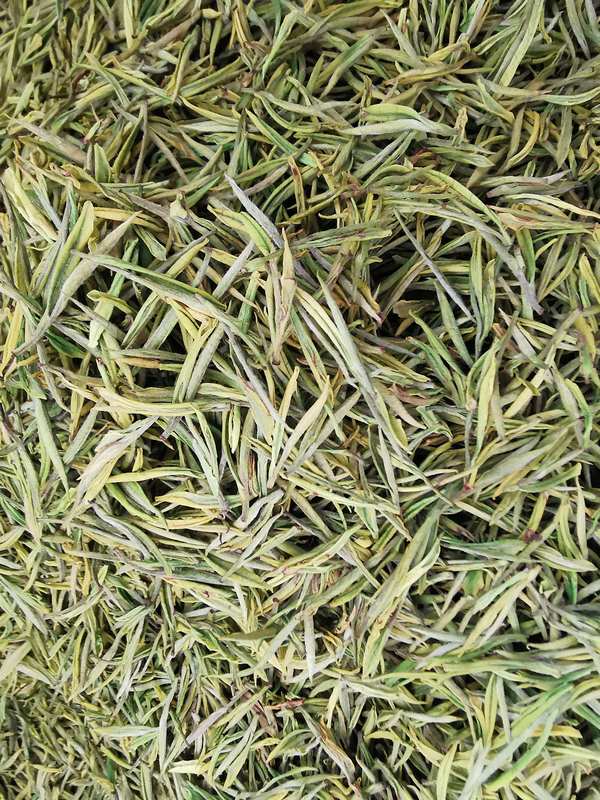 加工好的白茶。思南县融媒体中心供图