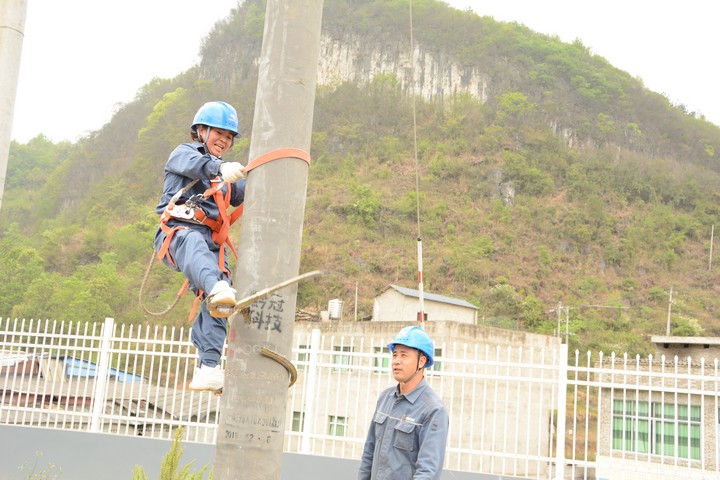 紫云供电局员工正在开展登杆培训。