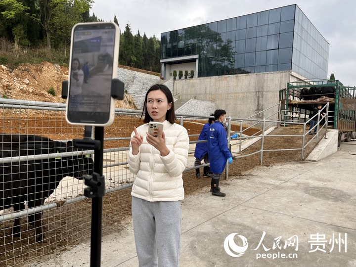 贵州：数字货运助牛出山 产业增效赋能乡村(图3)