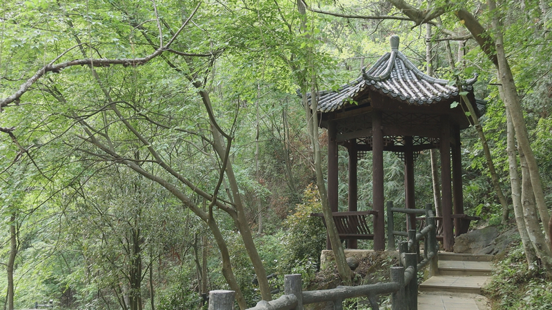 通往产蛋崖的山间石道小景。