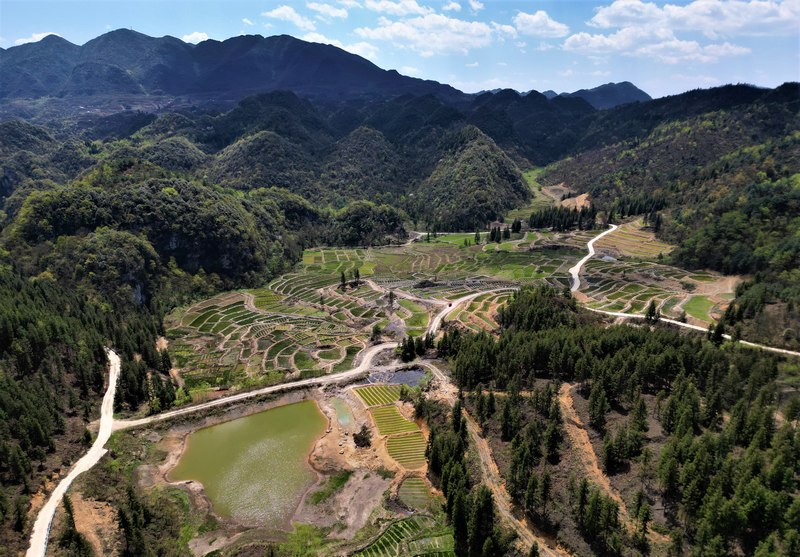 4月17日，贵州省大方县长石镇山坝村海花基地航拍。何志刚摄