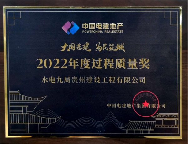 2022年度过程质量奖.jpg