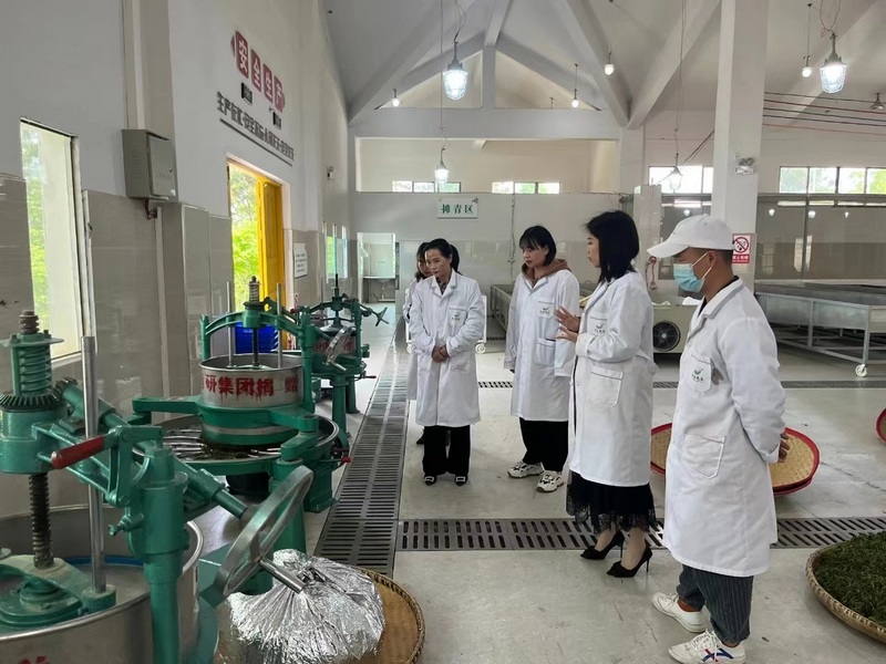 县妇联主席安霞（左前一）到松道晏茶加工厂调研。思南县妇联供图