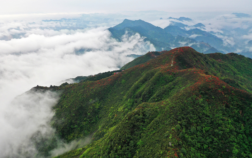 雨后云雾中的丹寨县龙泉山景色（无人机照片）。