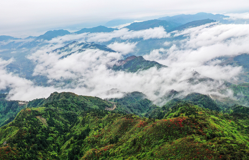 雨后云雾中的丹寨县龙泉山景色（无人机照片）。