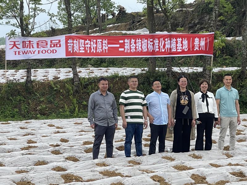 4月21日，四川天味食品集团股份有限公司相关负责人在贵州举利现代农业专业合作社辣椒种植基地调研。周训贵摄 (2).jpg