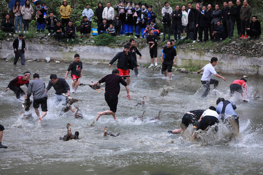 4月23日，群眾在新民村參加搶鴨子比賽。