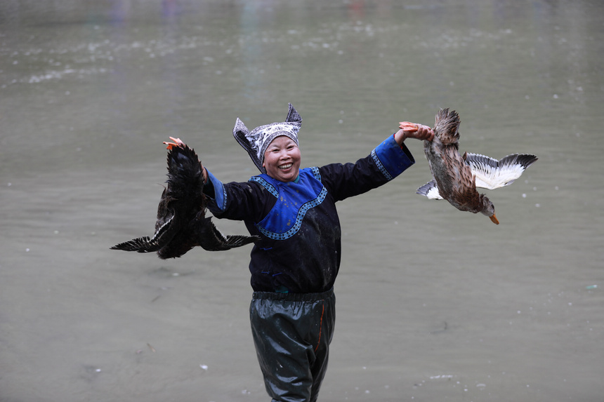 4月23日，群众在新民村参加抢鸭子比赛。