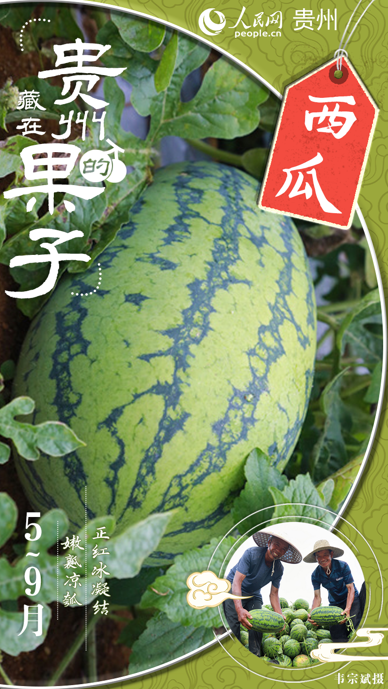 因为西瓜，我爱上了整个夏天。