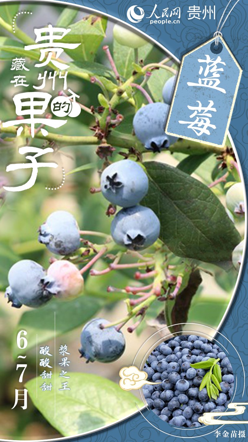 想要一杯蓝莓啵啵奶茶 不要奶茶 不要啵啵 只要蓝莓。