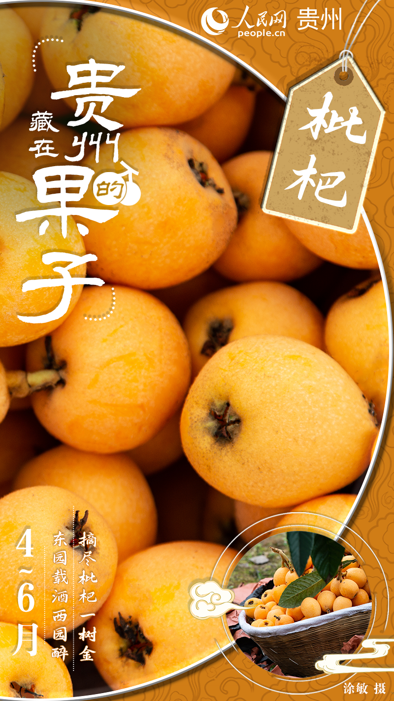 满树黄金果，心中甜蜜蜜。