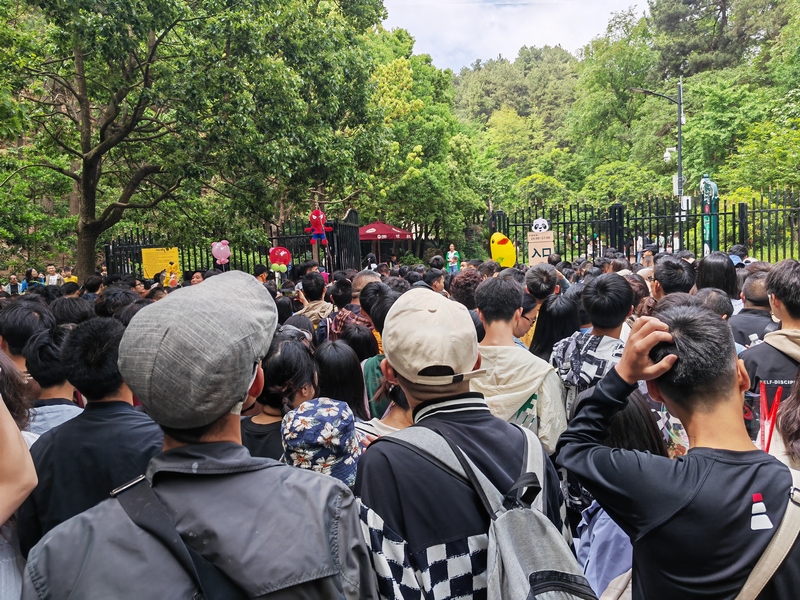 4月29日前往贵阳观看大熊猫的游客。