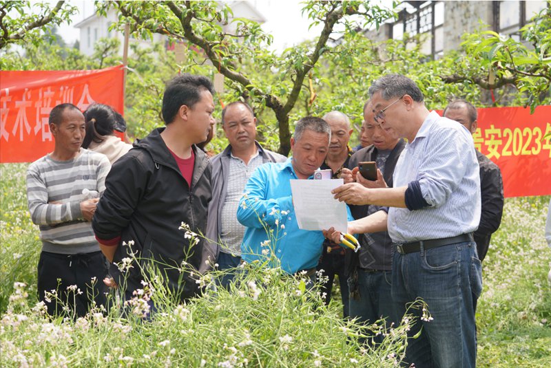 图片（2）李涛老师到提质增效果园为果农授课