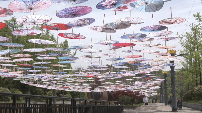 玉屏茶花泉景区“天空之伞”。