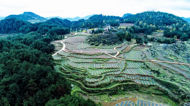 4 图为产业基地.jpg