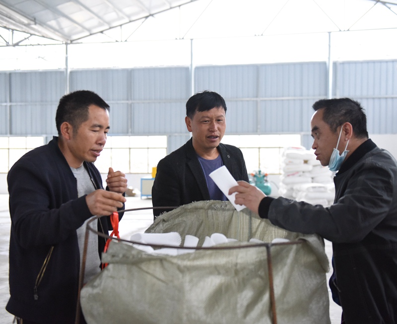 岜马村套袋厂工人在查看果袋质量。
