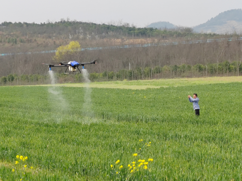 禹謨鎮新寨村通過植保無人機開展小麥條鏽病、白粉病飛統防統治。