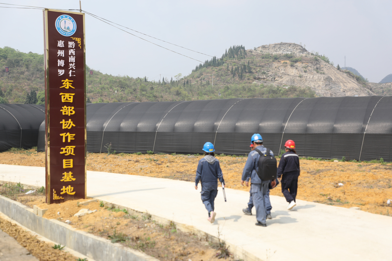 加強對轄區內的農產業供電線路設備的巡視維護。