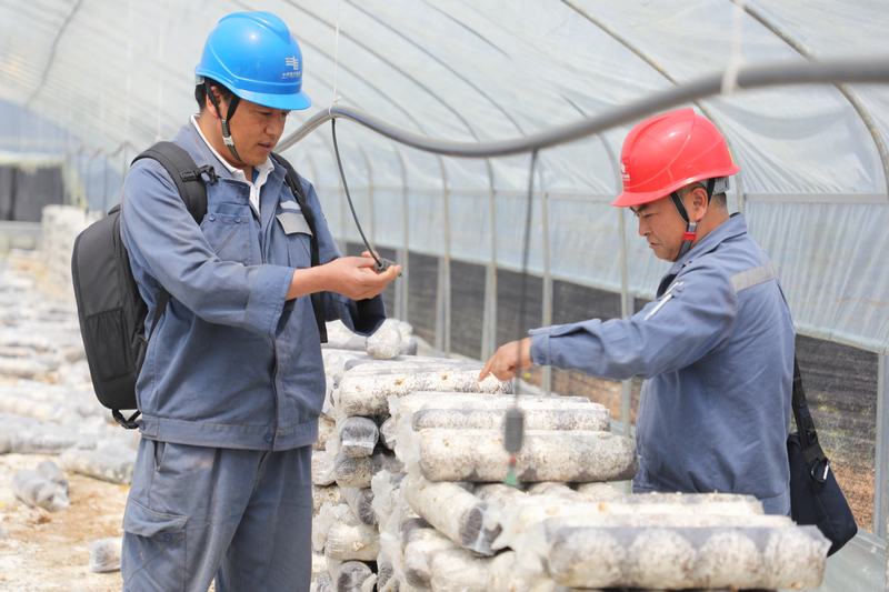 加強對轄區內的農產業供電線路設備的巡視維護。