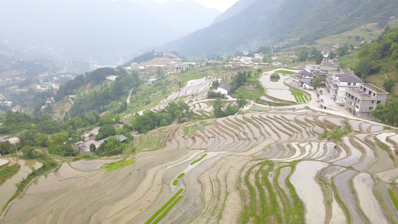 梯田。
