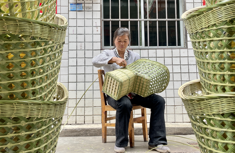 群众正在编织背篓。陈桂良摄