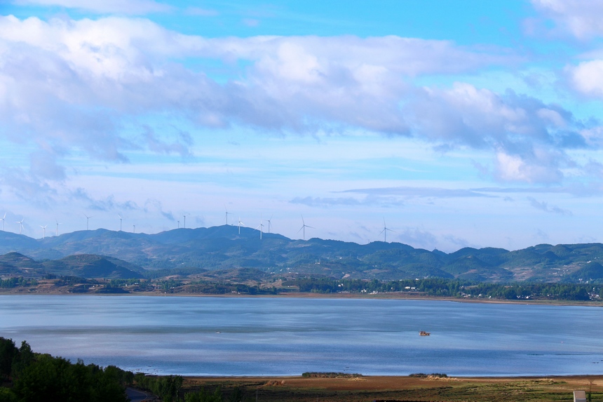 贵州草海国家级自然保护区。王近松摄