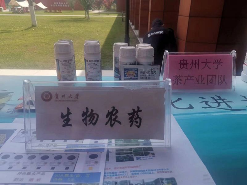 2023年“国际茶日”贵州主会场系列活动现场。